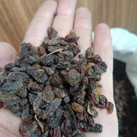 کشمش درجه ۲|عمده‌فروشی|اصفهان, زهران|دیوار