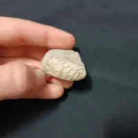 فسیل و الماس آسیاب|کلکسیون اشیاء عتیقه|مشهد, نوید|دیوار