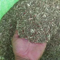 خریدوفروش خار شتر کلی و جزی، درجه یک