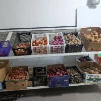 میز میوه فروشی و ترازو و صندل|فروشگاه و مغازه|ماکو, |دیوار