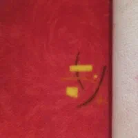 موکت در حد نو