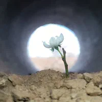 تدریس خصوصی دبستان