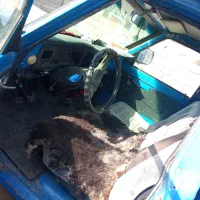 نیسان دو گانه