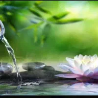 آموزش ماساژ