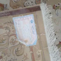 دوتا ۱۲ متری