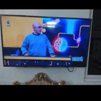 تلوزیون سینگل|تلویزیون و پروژکتور|برخوار, |دیوار