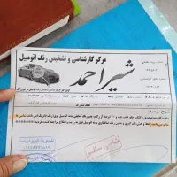 زانتیا سیتروزین 84