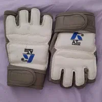 دستکش تکواندو