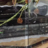 تلویزیون و میز|تلویزیون و پروژکتور|اصفهان, آبشار|دیوار