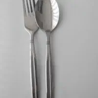 قاشق و چنگال