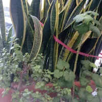 ۴۵ متر با پارکینگ