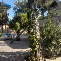 ۲۰هزار متر زمین منطقه ۲۰