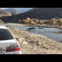 جابجایی مسافر یاسوج- یزد|خدمات حمل و نقل|یزد, |دیوار