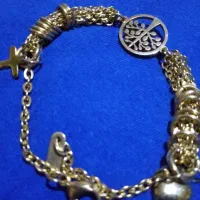 پلاک دست استیل مردانه و ست کارتیه|بدلیجات|اصفهان, آبشار|دیوار