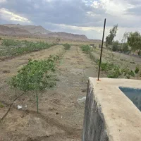 باغچه-فروشی-با-طلا-هم-معاوضه-میشه