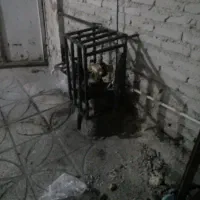 جوشکاری سیار کوشکی|خدمات پیشه و مهارت|کوهدشت, |دیوار