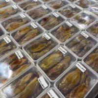 بادمجان کبابی و سرخ‌شده / فروش عمده / پیدن