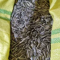 گردو کاغذی اعلا ایرانی درجه یک به صورت عمده و خرده|عمده‌فروشی|خمینی‌شهر, |دیوار