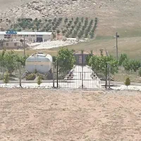 باغ جاده هرسین|فروش زمین و ملک کلنگی|هرسین, |دیوار