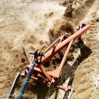 شخم زدن و انجام خدمات کشاورزی|خدمات باغبانی و درختکاری|صحنه, |دیوار