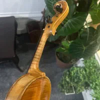 ویلن اروپایی|ویولن|تهران, دکتر هوشیار|دیوار