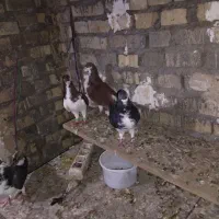 شهرک رزمندگان فاز ۱