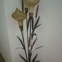 اباژور کنار سالنی
