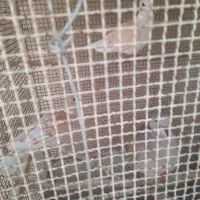 فروش یک عدد قفس ایستاده