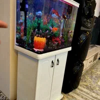 آکواریوم|ماهی|پاکدشت, پاکدشت (مامازند)|دیوار