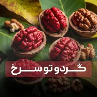فروش نهال گردو تو سرخ لیبل دار +ارسال فوری