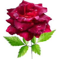 وام مهربانی