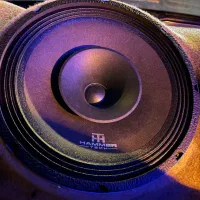 میدرنج سایز ۱۰ همرتک