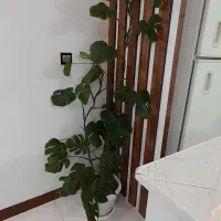 خانه اپارتمان