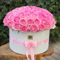 به پول نیازمندم با سفته