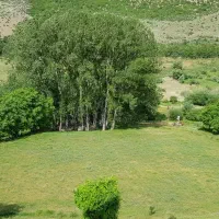 مسئول فروش و انبار