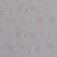 وسایل مرغ فروشی زنده