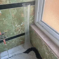 تعدادی گلدان