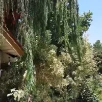 440-متر-سندشش-دانگ-ویلا