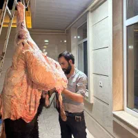قصابی در محل
