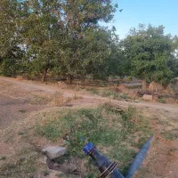 باغ گردو استان قزوین شهرک ضیاباد ۱۱۰۰ متر|فروش دفتر صنعتی، کشاورزی، تجاری|ضیاء آباد, |دیوار