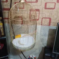 قفس وپایه