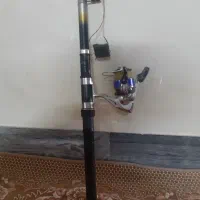 لنسر ماهیگیری کامل سالم