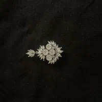 گردنبند نقره