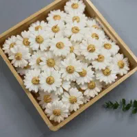 دکوری. کادوی .شمع|صنایع دستی و سایر لوازم تزئینی|تهران, افسریه شمالی|دیوار