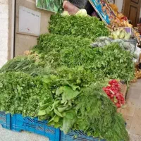 سبزیجات نیشابور