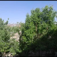 فروش باغ750متری بامجوز و سند|فروش خانه و ویلا|اصفهان, پارک مشتاق|دیوار