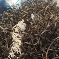 خریدارضایعات و لوازم خانگی