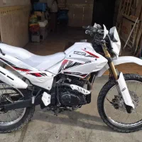 تریل راتو ۲۵۰ مزایده عروسک