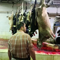 گوشت گوساله|خوردنی و آشامیدنی|حمیدیه, |دیوار