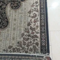 فرش ۹ متری|فرش|همدان, |دیوار